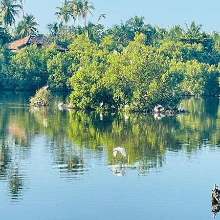 Eagles Nest Cabanas Тангалла Экстерьер фото