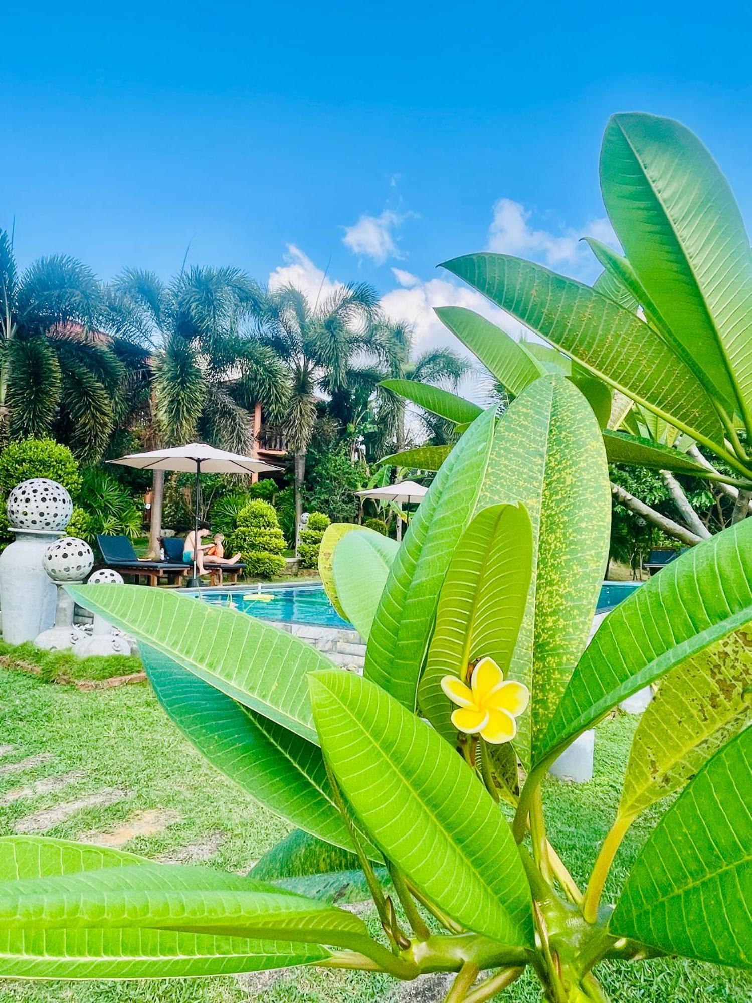 Eagles Nest Cabanas Тангалла Экстерьер фото